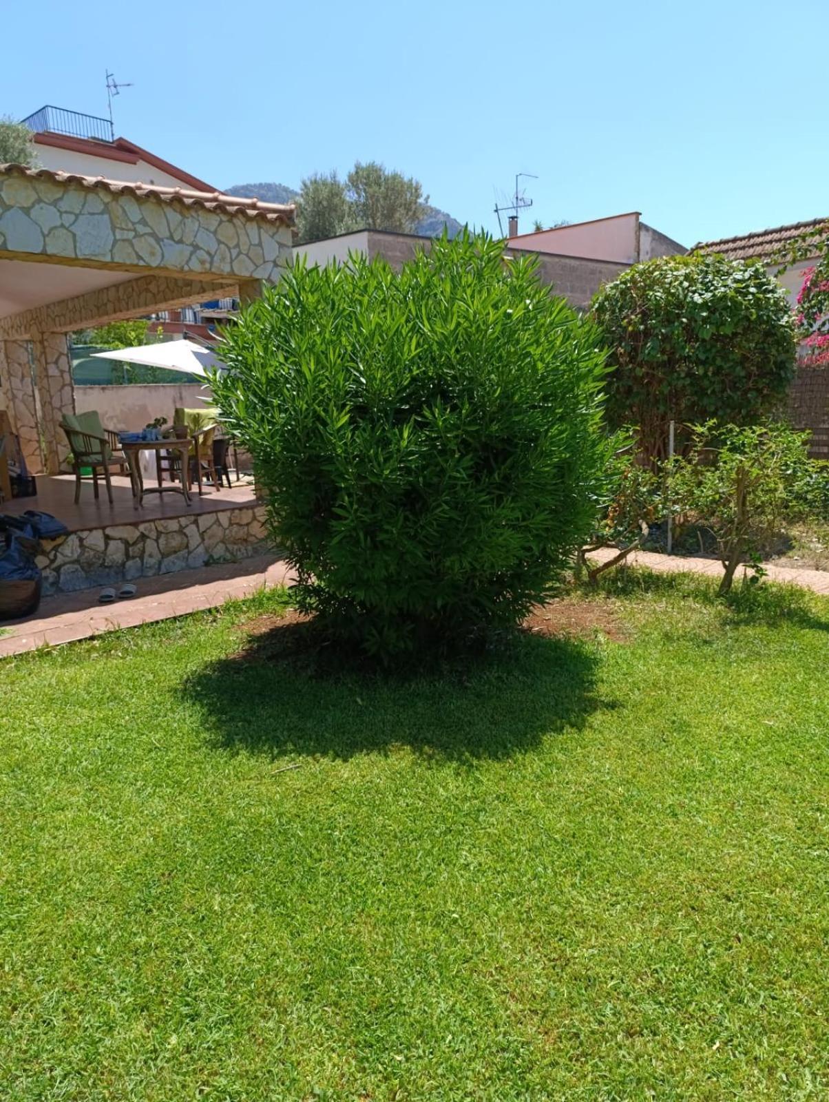 Вилла Casa In Giardino A Pochi Passi Dal Mare Палермо Экстерьер фото